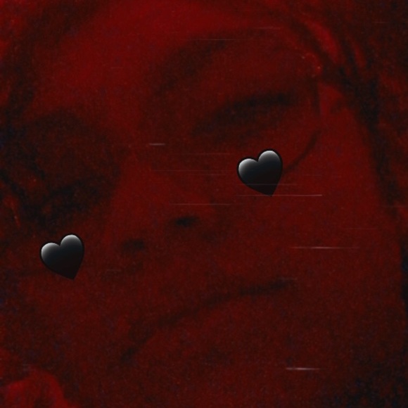 Meet your Posher, Angelina - Picture 1 of 1